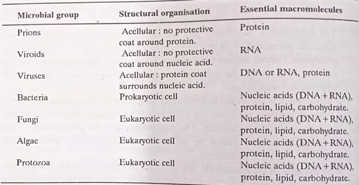 BSc 2nd Year Structure of Microorganisms in Microbiology Notes Study Material